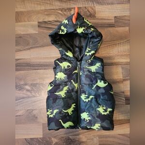 Dinosaur Camo Puffer Vest 12m